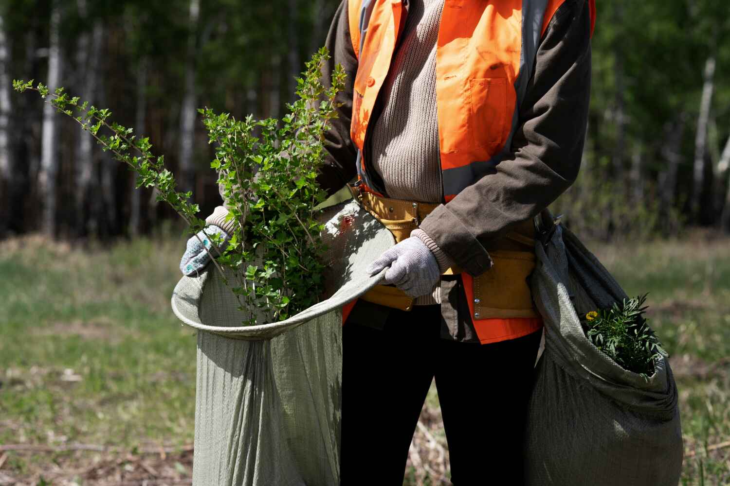 Best Tree Stump Removal  in Palm Shores, FL